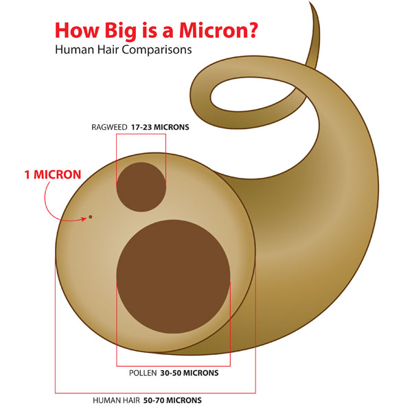 Description: микрон